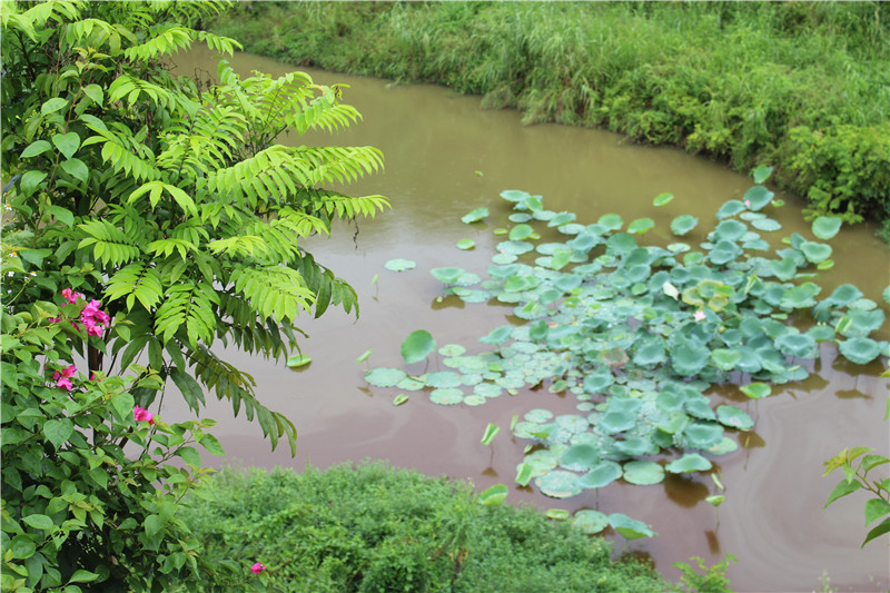 鎰辰,鎰辰集團(tuán),鎰辰智造,鎰辰鋼鐵,奧特浦斯,天津奧特浦斯